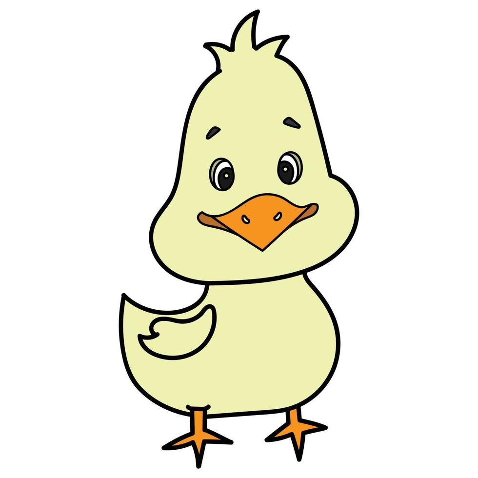 pollito de dibujos animados lindo vector