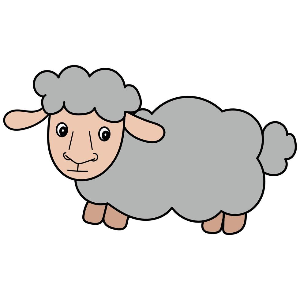 cartoon sheep illustration vector