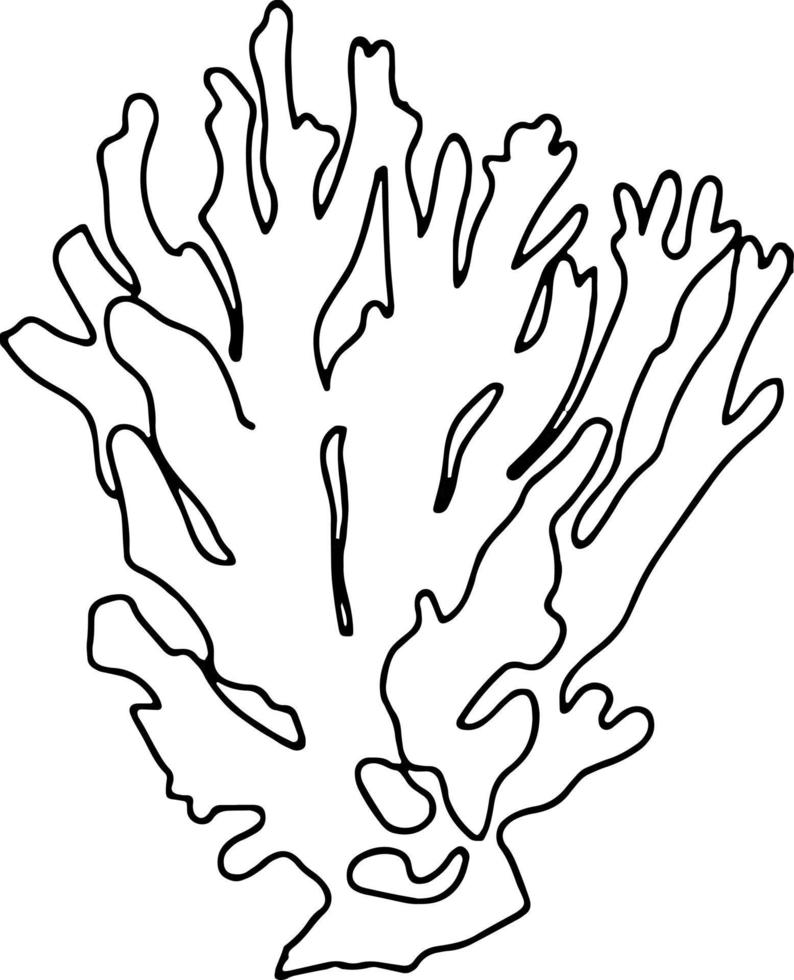 boceto de contorno de concha de mar aislado en blanco. ilustración de vector simple lineal