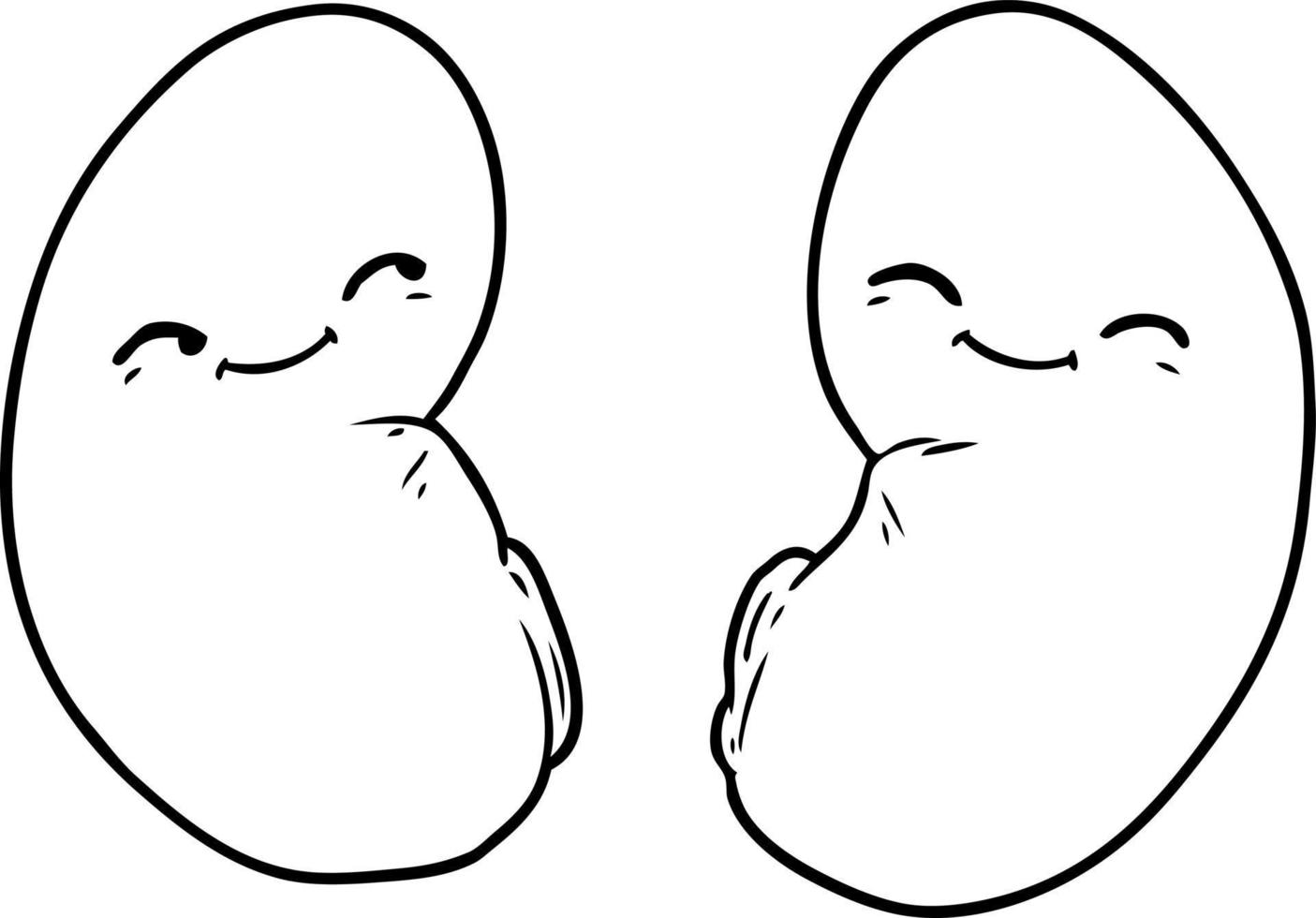 cartoon line drawing kidneys vector