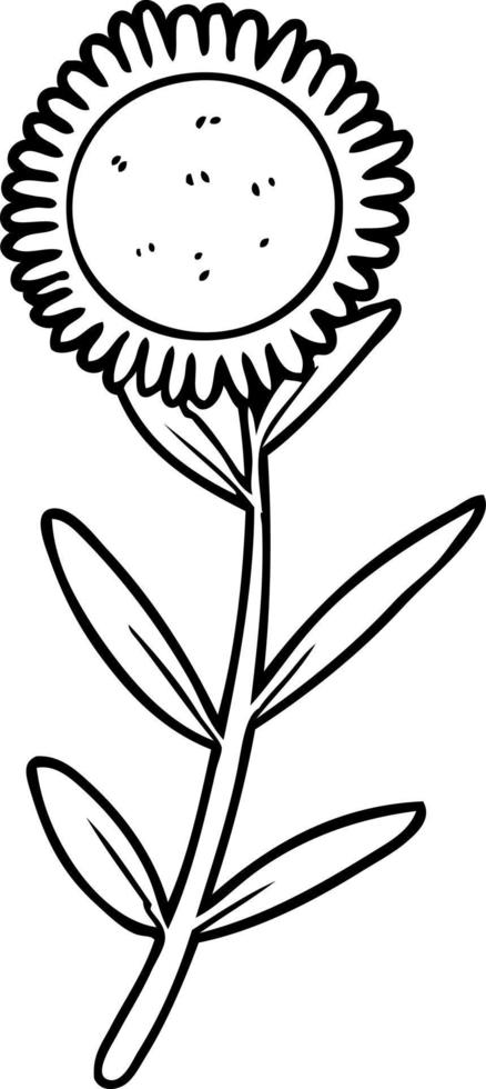 girasol de dibujo lineal de dibujos animados vector