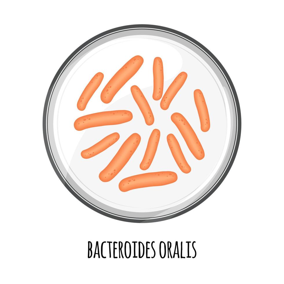 The human microbiome of bacteroides oralis in a petri dish. Vector image. Bifidobacteria, lactobacilli. Lactic acid bacteria. Illustration in a flat style.