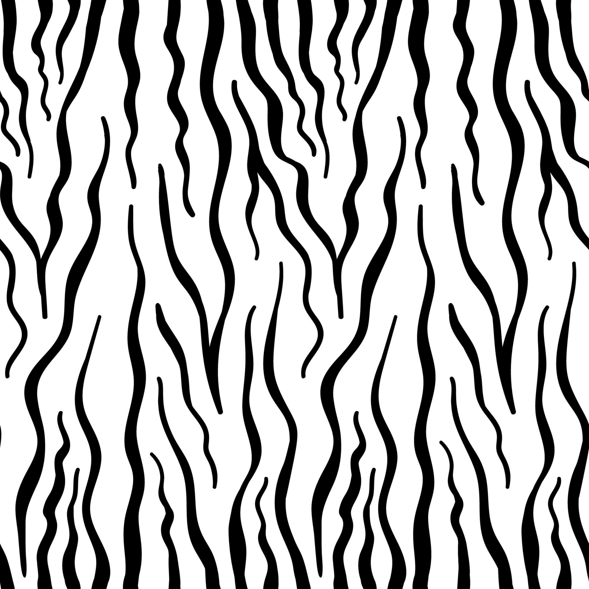 Vector seamless pattern with zebra skin. Black and white zebra stripes