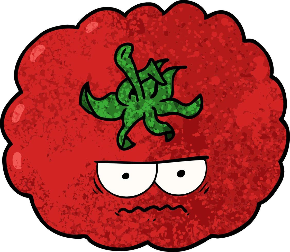 cartoon angry tomato vector