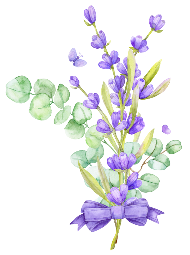 A bouquet of green eucalyptus leaves and lilac lavender. Watercolor illustration Hand drawn eucalyptus branch with lavender flowers png