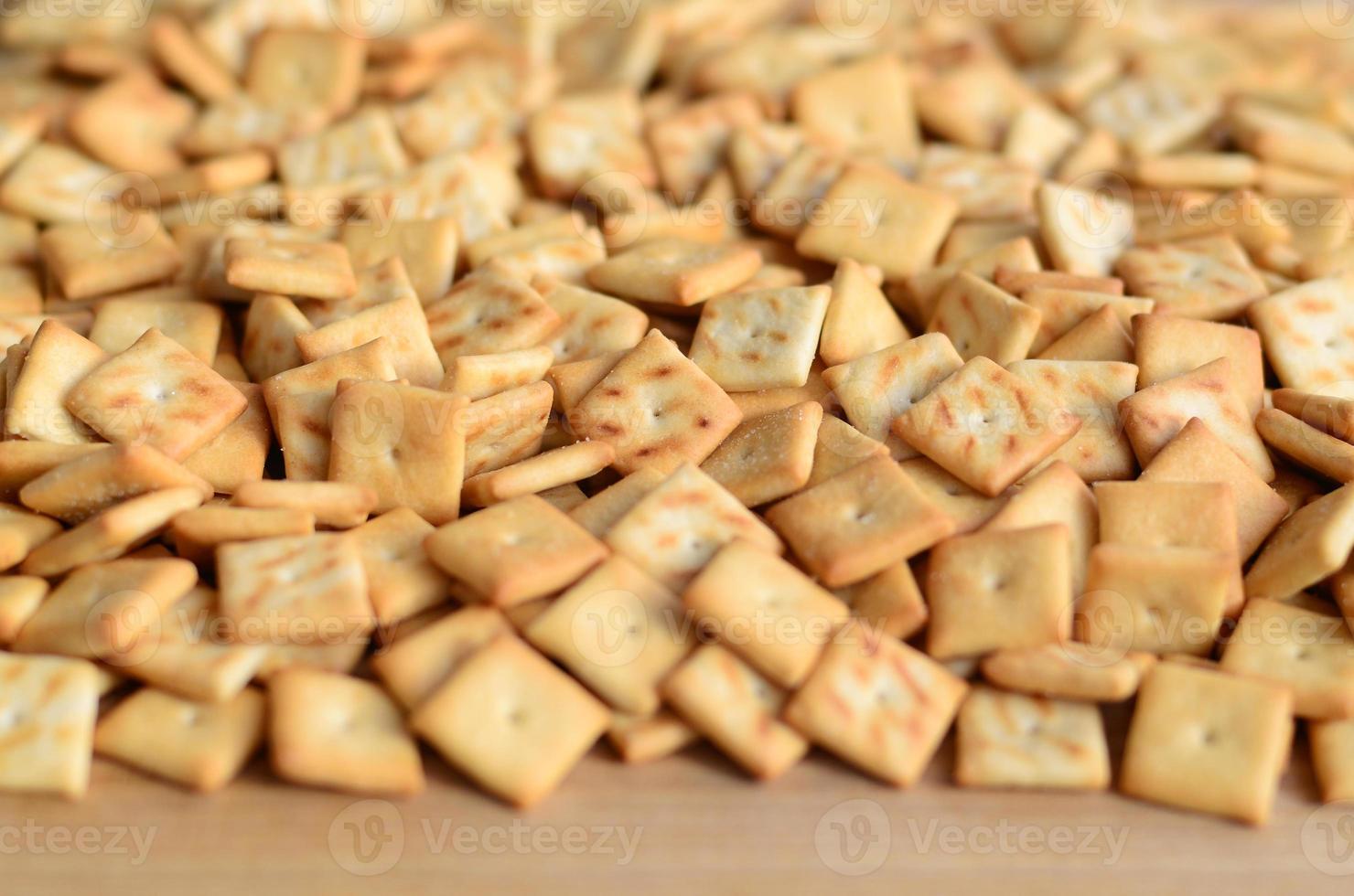 Background texture of small edible squares baked from dough and sprinkled with salt. A lot of salt cracker photo