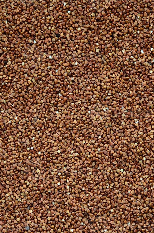 Background texture of a large pile of buckwheat. Many buckwheat grains close-up in daylight photo