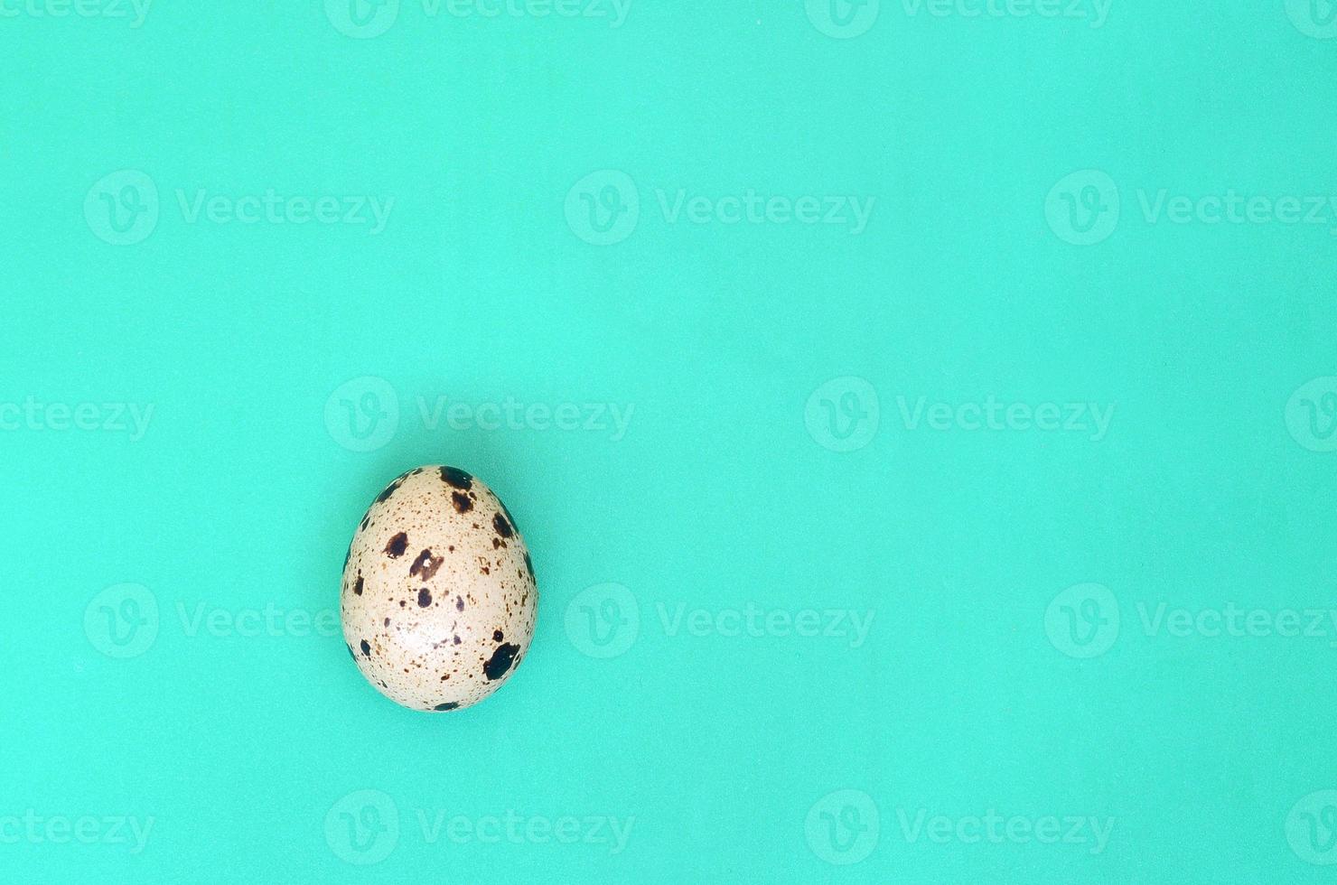 One quail egg on a light green surface, top view, empty place for text. Minimalism photo