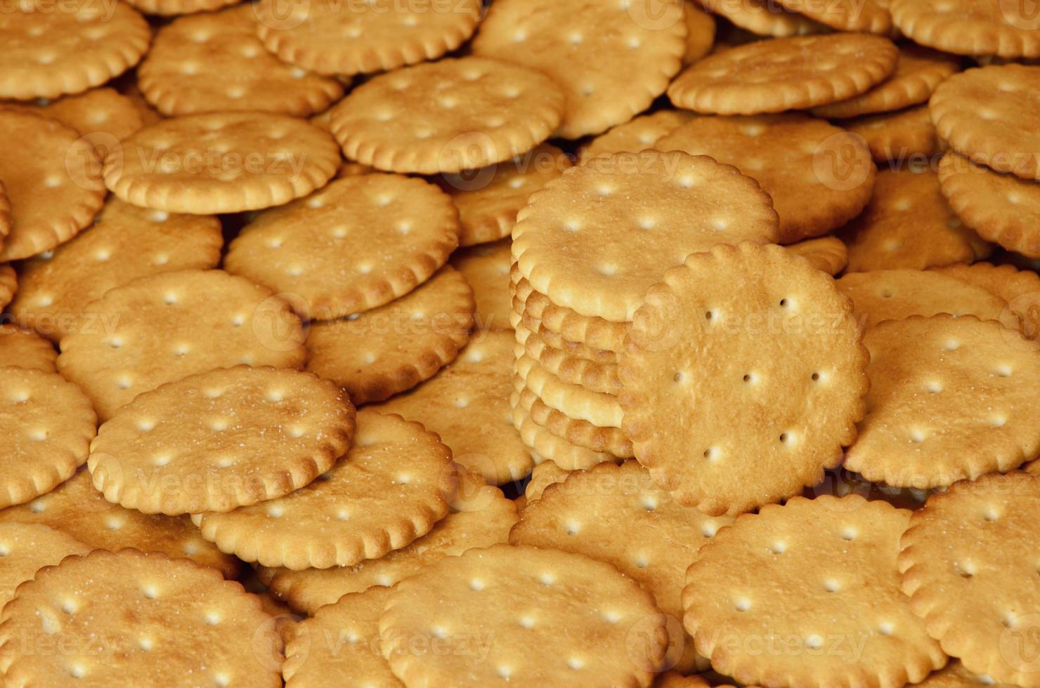 Closeup of salted crackers photo