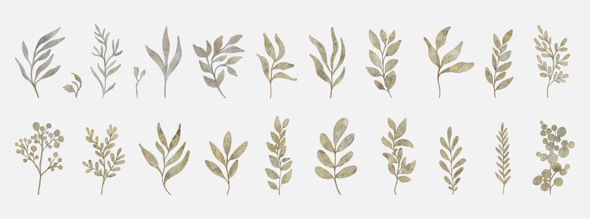 Set of floral elements. Flower and green leaves. Wedding concept, flowers. Floral poster, invite. Vector arrangement for greeting card or invitation design.