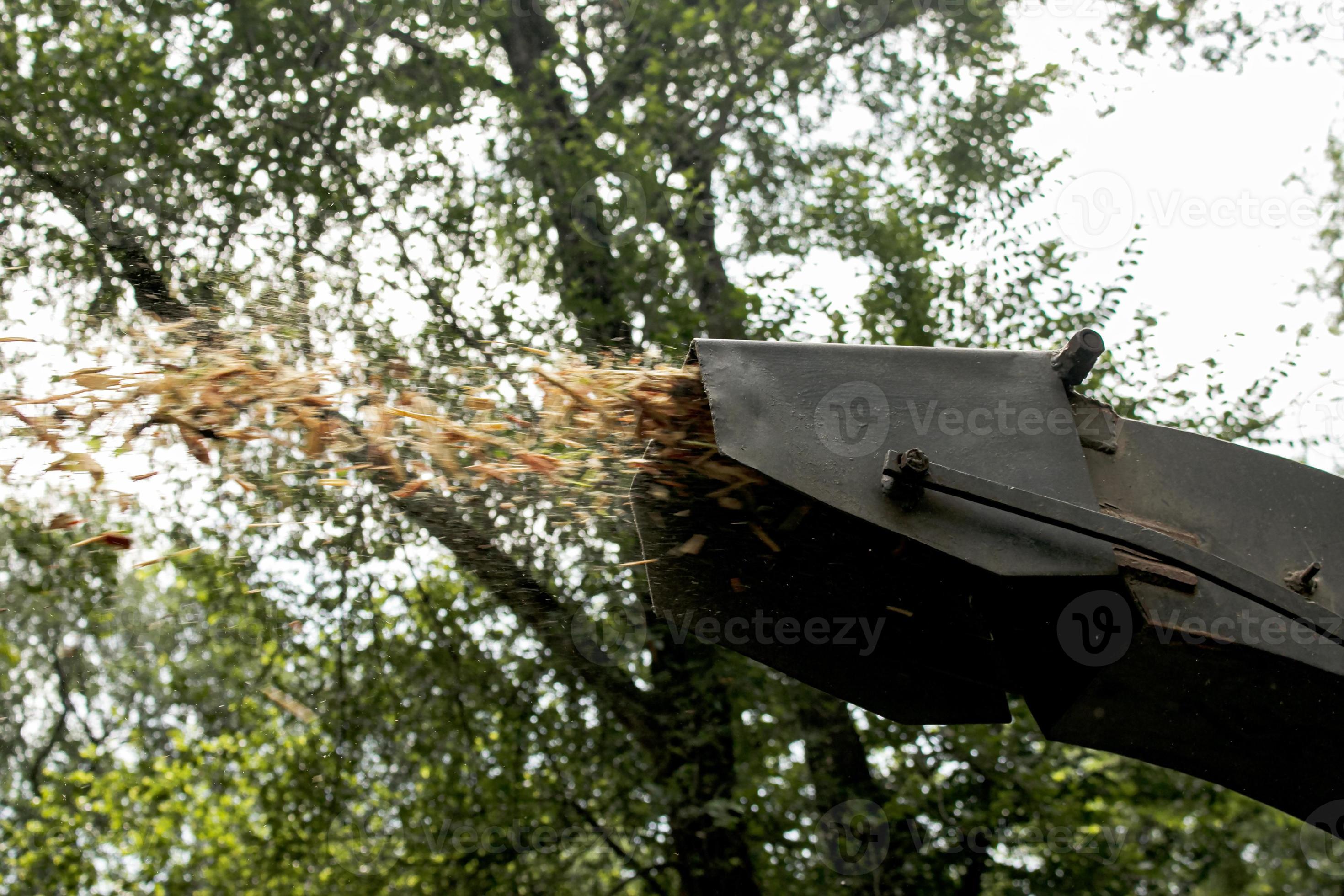 The work of a mobile shredder of dry branches and trees in a city park. Wood shredder. Workers