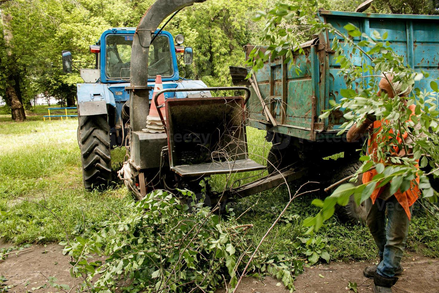 The work of a mobile shredder of dry branches and trees in a city park