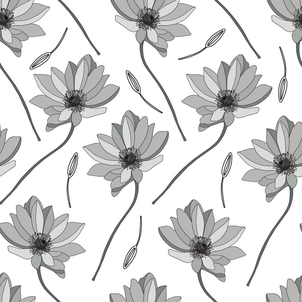Astragalus vector illustration on a white background. Linear gerbera pattern. Flower coloring book. seamle