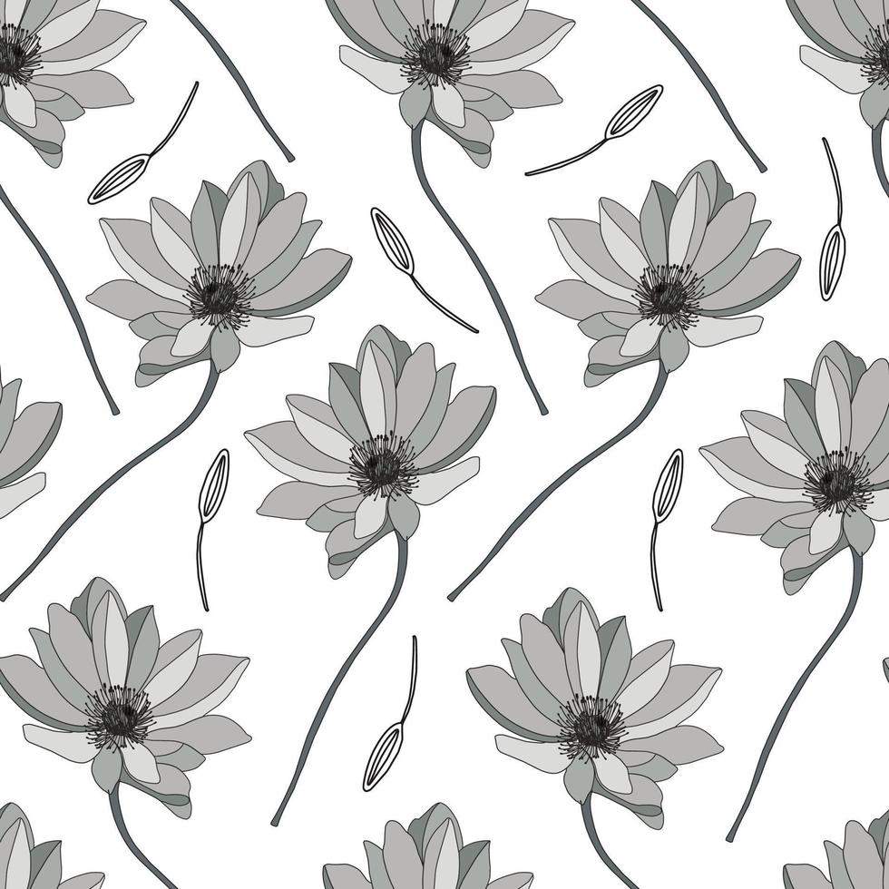 Ilustración de vector de astrágalo sobre un fondo blanco. patrón de gerbera lineal. libro para colorear flores. costura