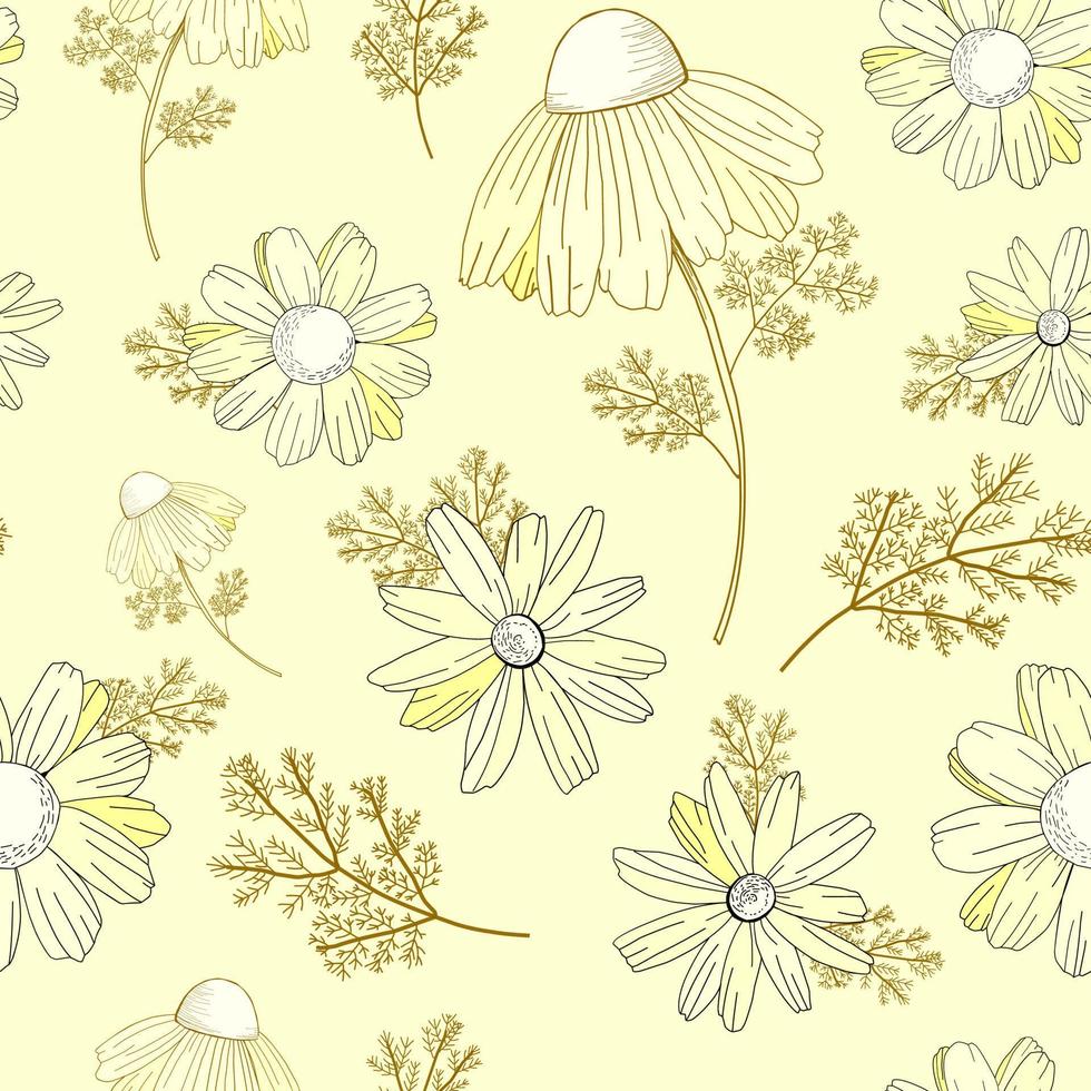 estampado de flores de época. patrón de flores silvestres. vieja textura. fondo beige, flores blancas. adonis, equinácea manzanilla ilustración vectorial vector