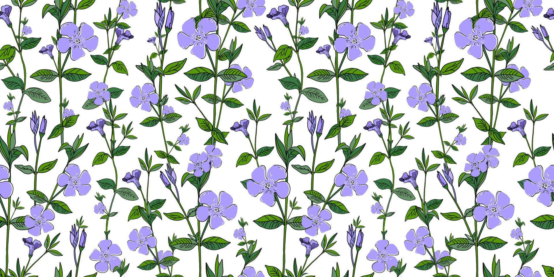 V nca m nor Fritillaria. Pattern for textile and fabric. Little blue flowers on a white background. Periwinkle, cornflower. Wildflowers. Shabby style chic, provence vector