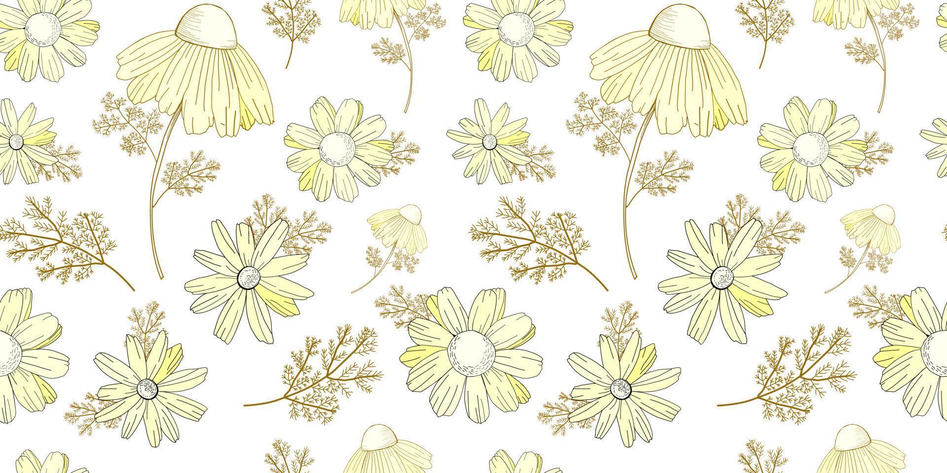 estampado de flores de época. patrón de flores silvestres. vieja textura. fondo beige, flores blancas. adonis, equinácea, manzanilla. ilustración vectorial vector