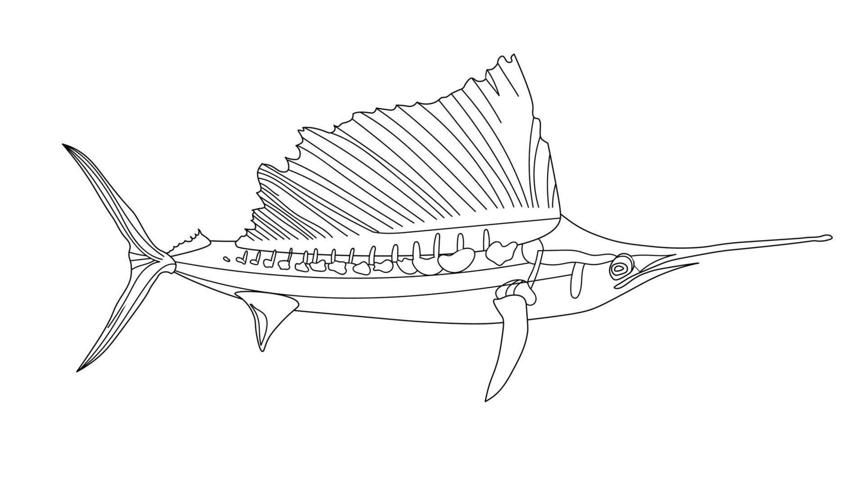 aguja de mar de hocico largo, pez espada, página para colorear de peces antiestrés. vida marina. mundo submarino. vector