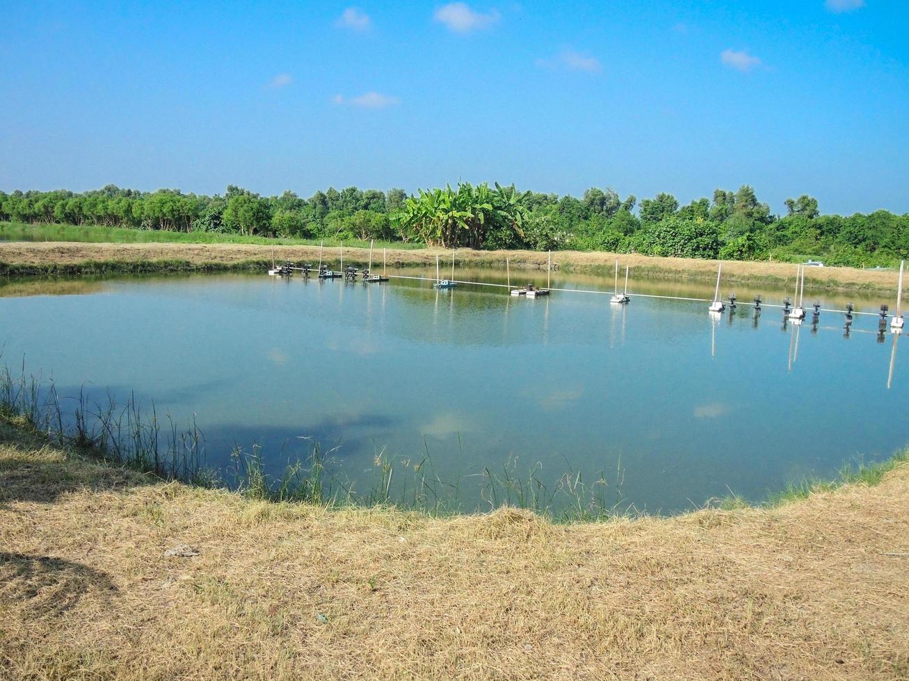 Outdoor fish or shrimp farming pond aeration system. photo