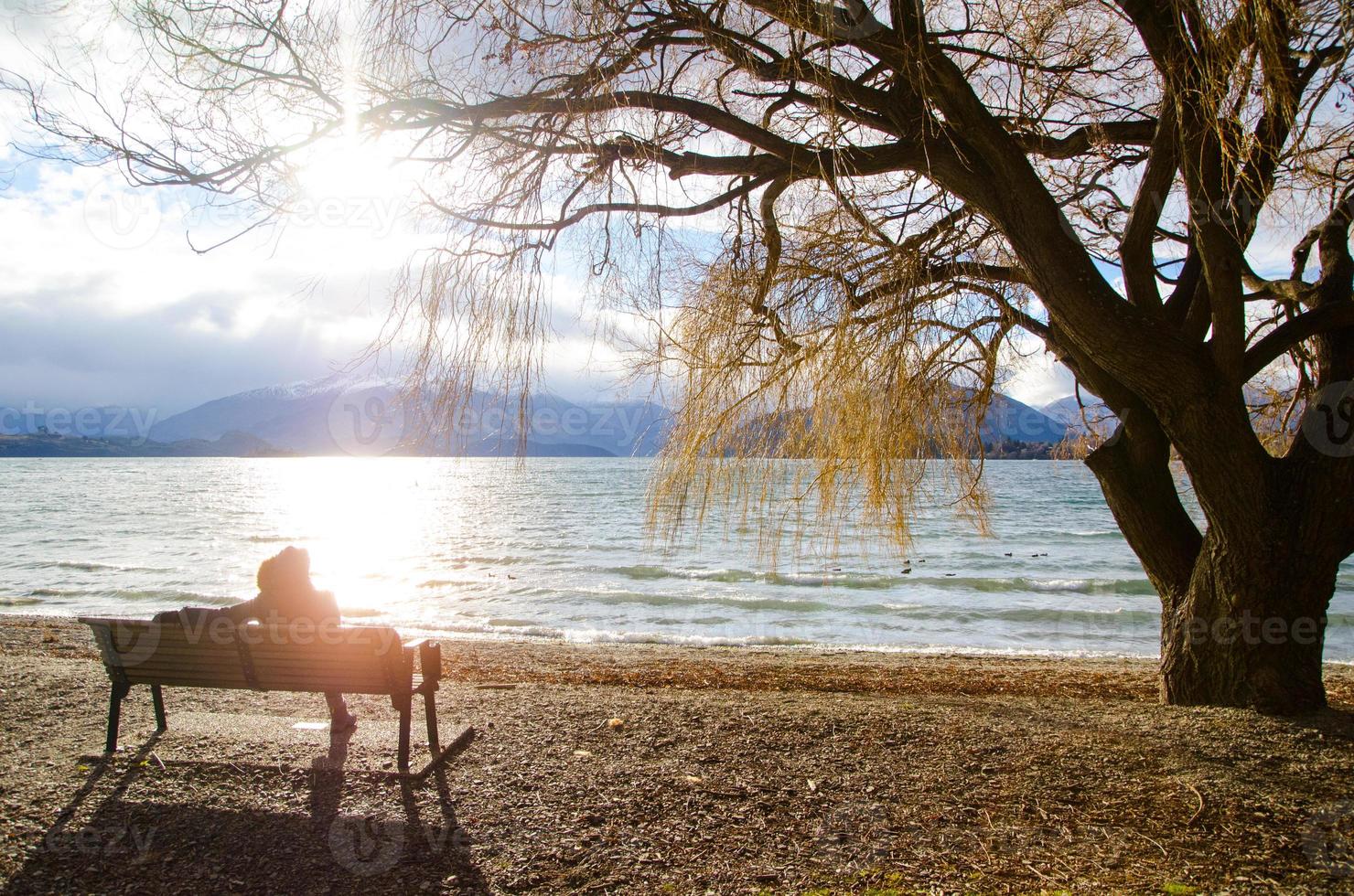 Sitting on the bench near the beach with big winter tree. photo