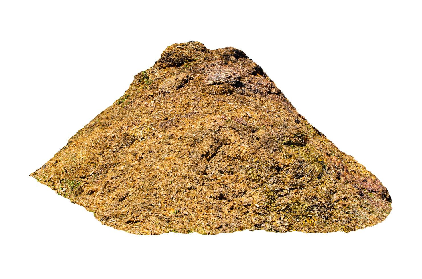 Pile of farmyard manure isolated on white background. photo