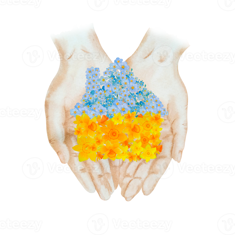 Watercolor Ukrainian flowers home png