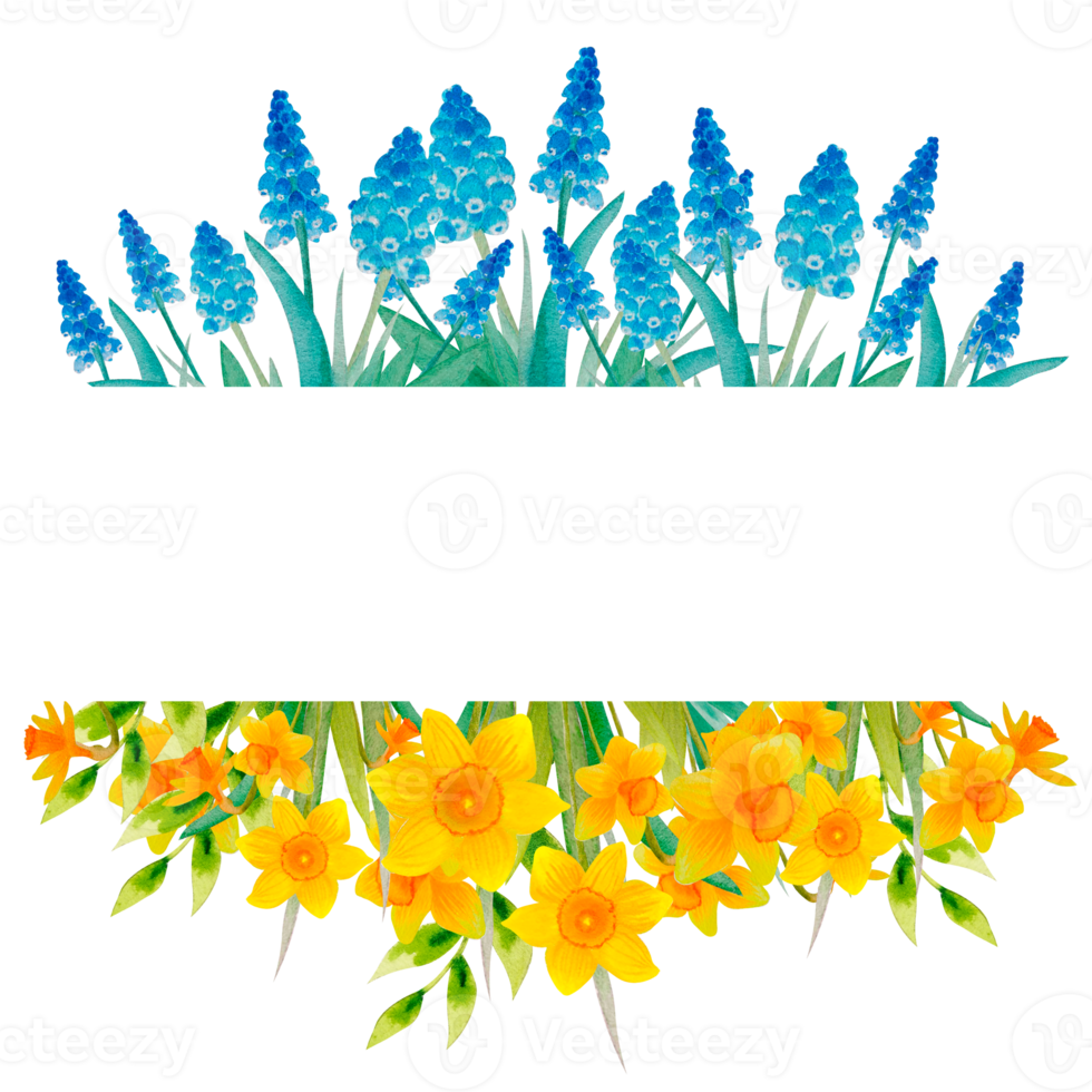 Watercolor Ukrainian flowers png