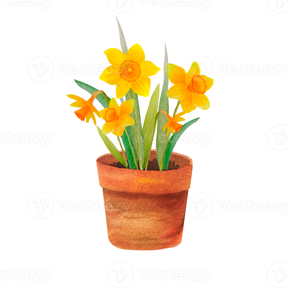 Watercolor spring flowers in the pots 12375331 PNG Watercolor spring flowers in the pots 12375331 PNG