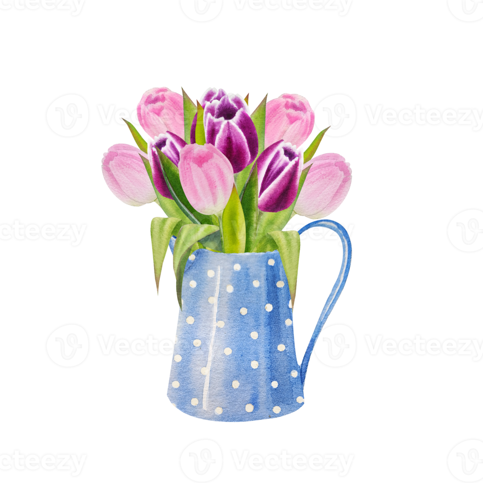 Watercolor spring pink tulips flowers png