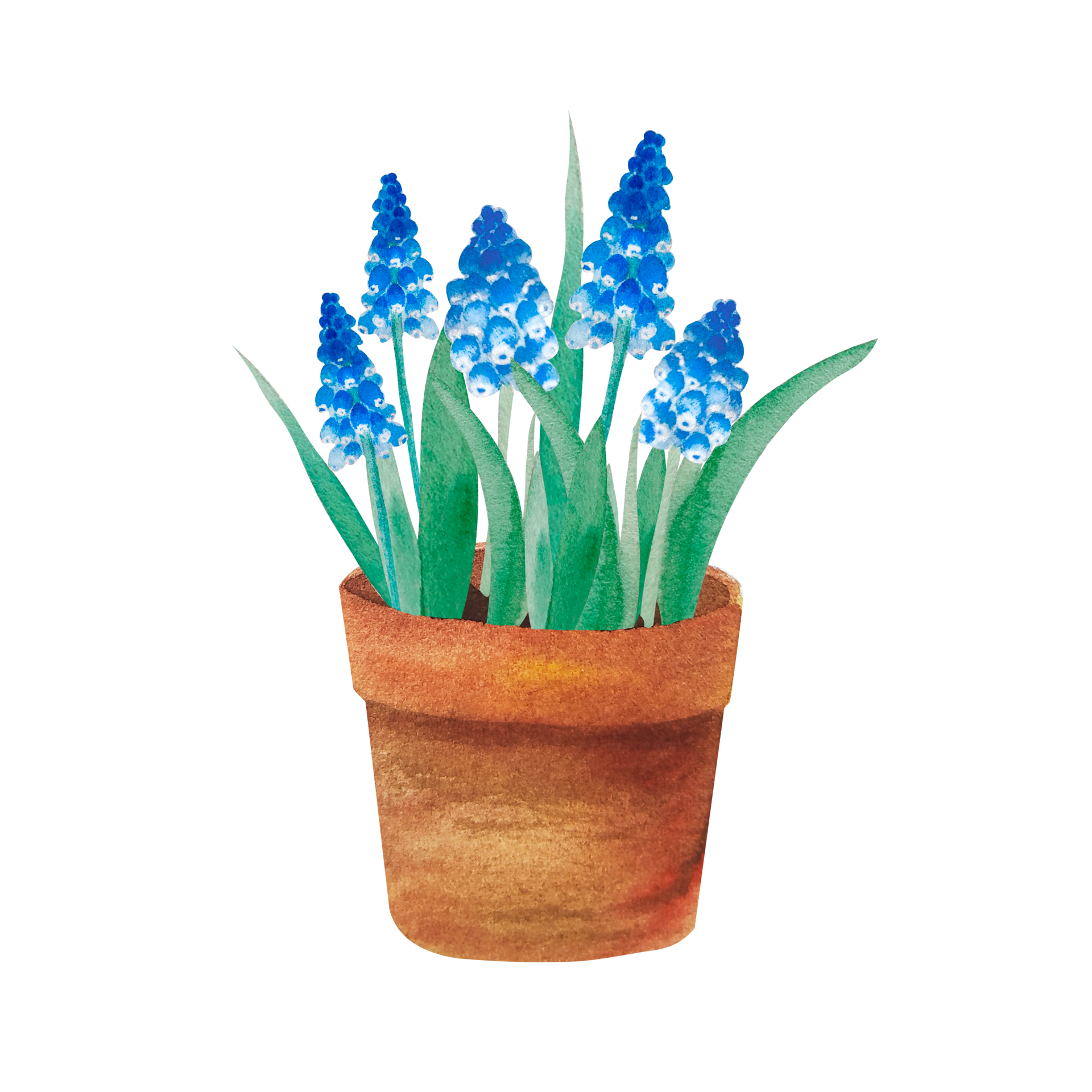 watercolor-spring-flowers-in-the-pots-12375420-png