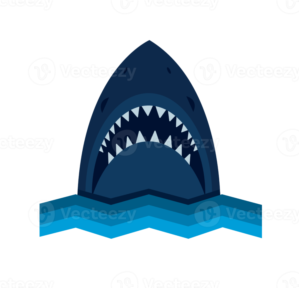 illustration minimale de requin png