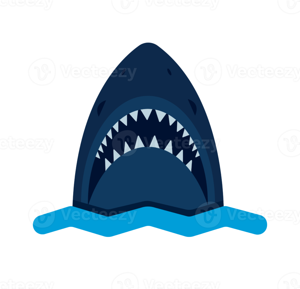 shark minimal illustration png