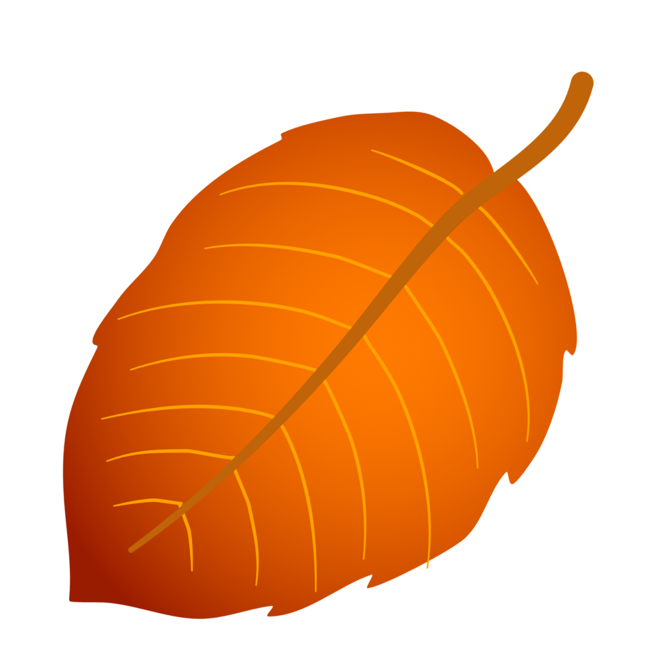 Autumn leaves PNG file