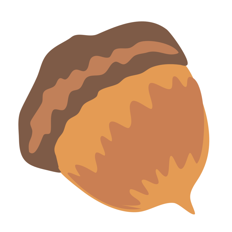 Brown Acorn PNG File
