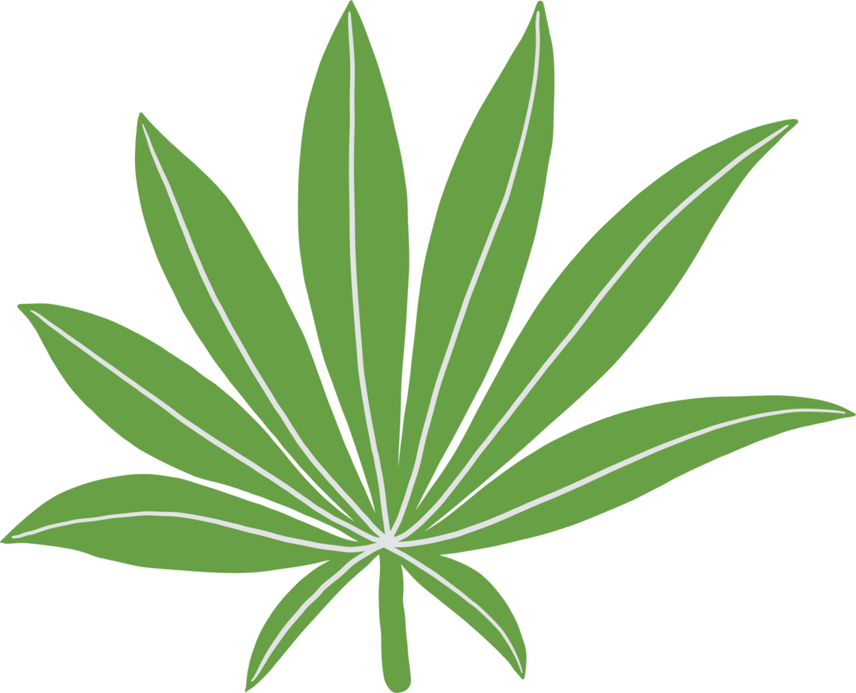 simplicity cannabis leaf freehand drawing flat design. png