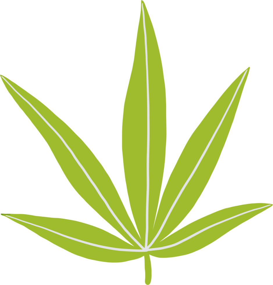 simplicity cannabis leaf freehand drawing flat design. png