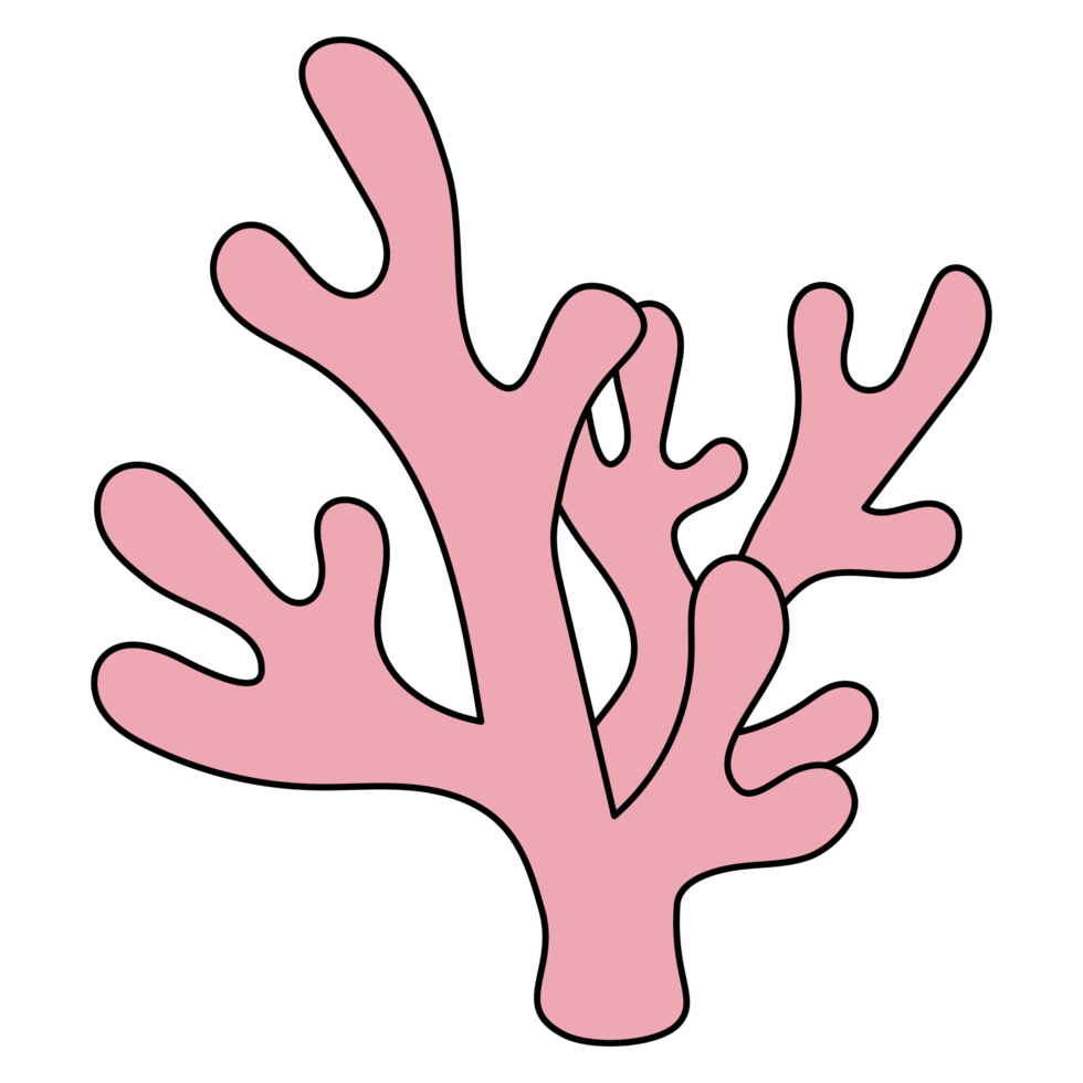 coral Filled clipart png