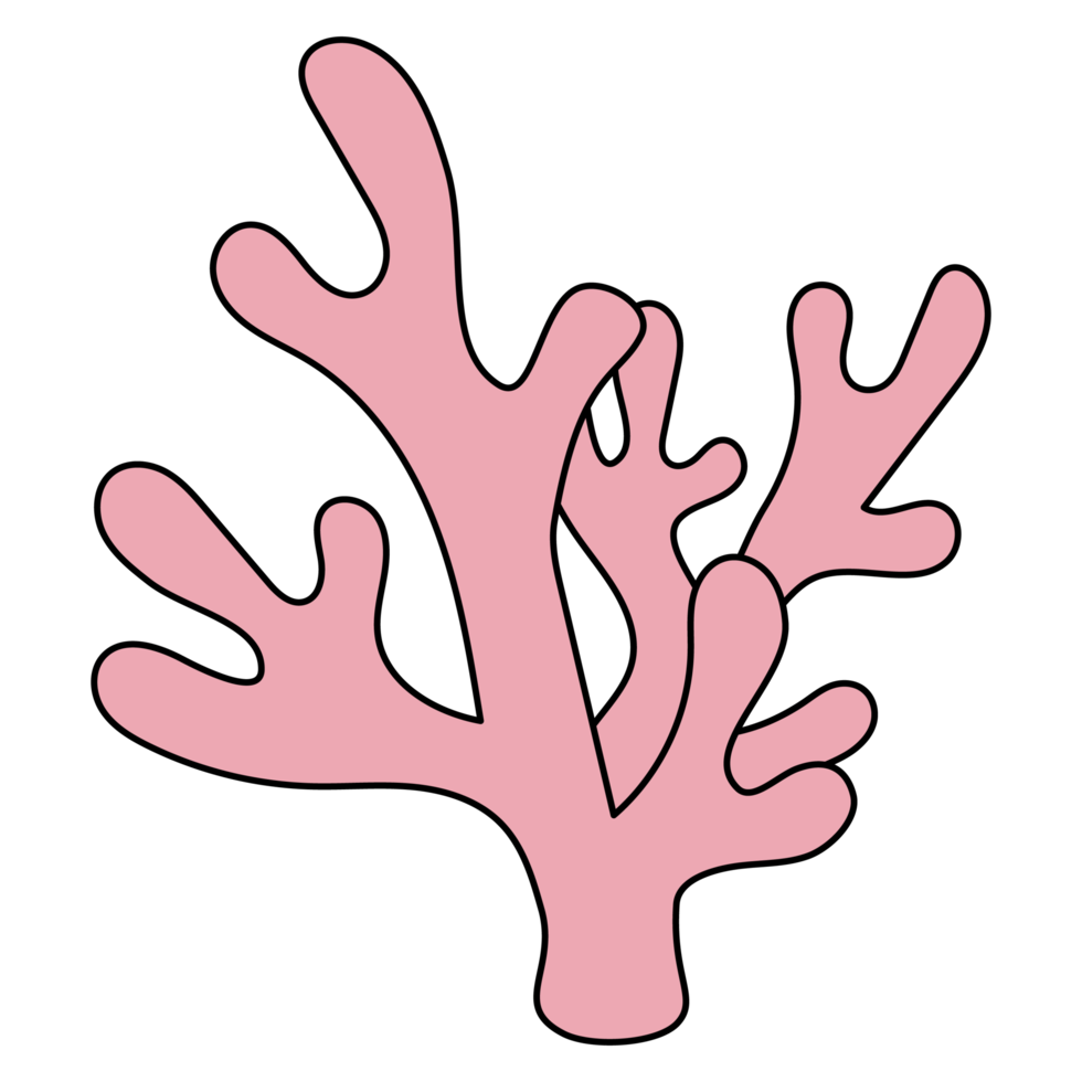 clipart cheio de coral png