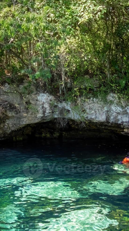 cenote, méxico. hermoso cenote en la península de yucatán con aguas transparentes y raíces colgantes. chichén itzá, centroamérica. foto