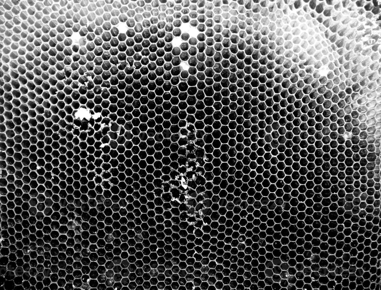 La estructura hexagonal abstracta es un panal de abejas de la colmena. foto