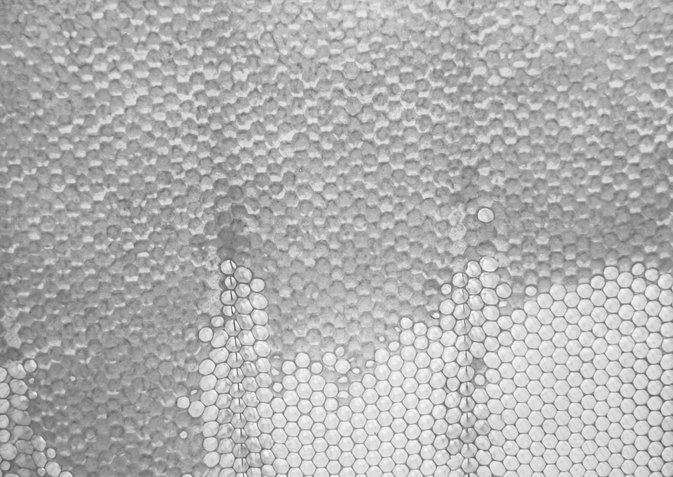 Honeycomb from bee hive filled with golden honey photo
