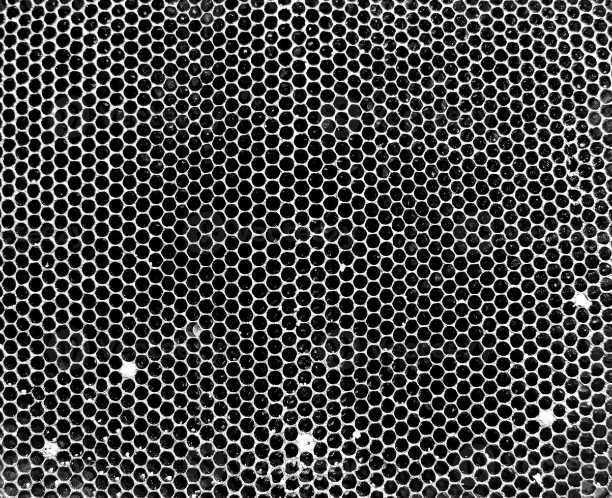 Abstract hexagon structure is honeycomb from bee hive photo