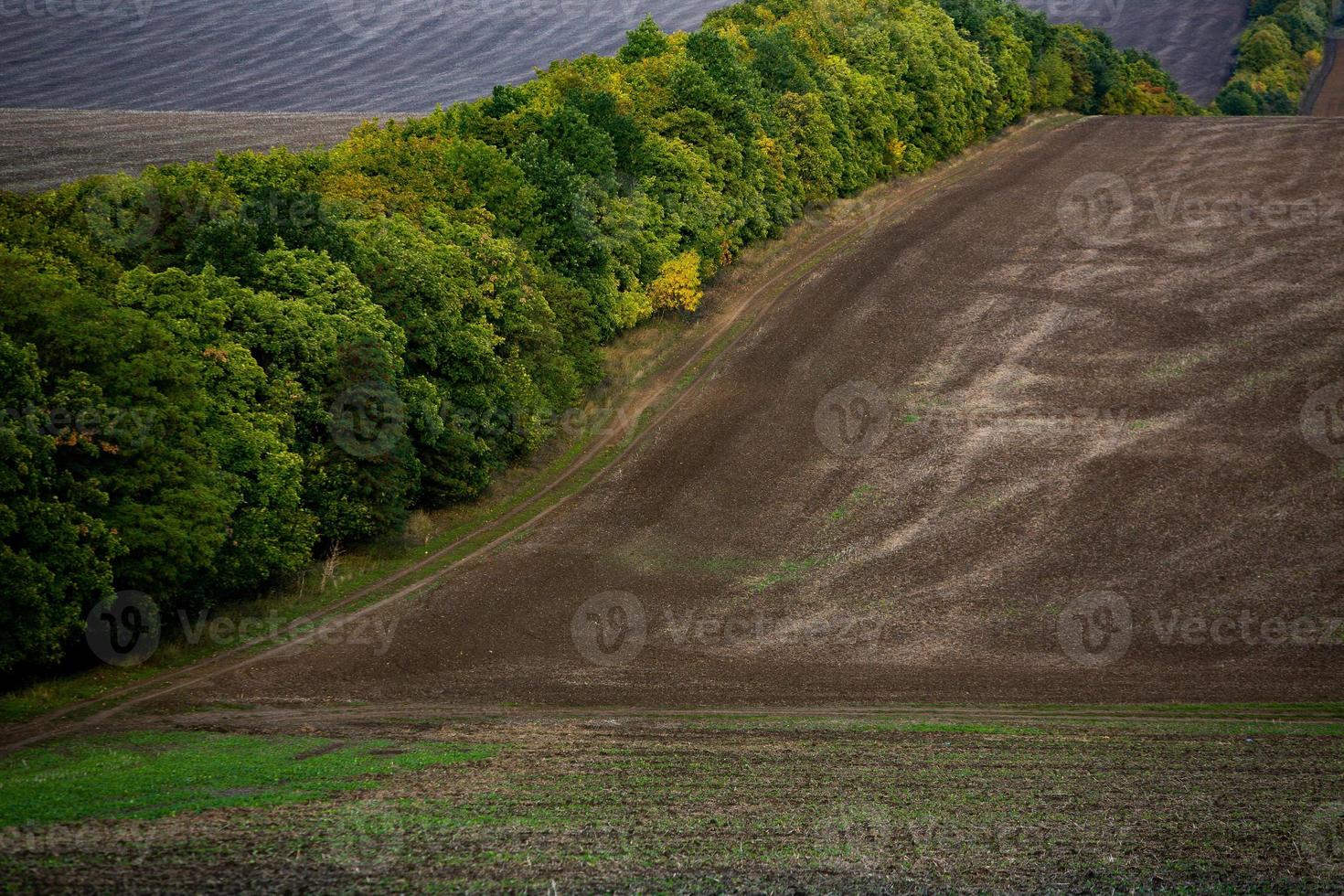 Image of a landscape with fertile soil from the Republic of Moldova