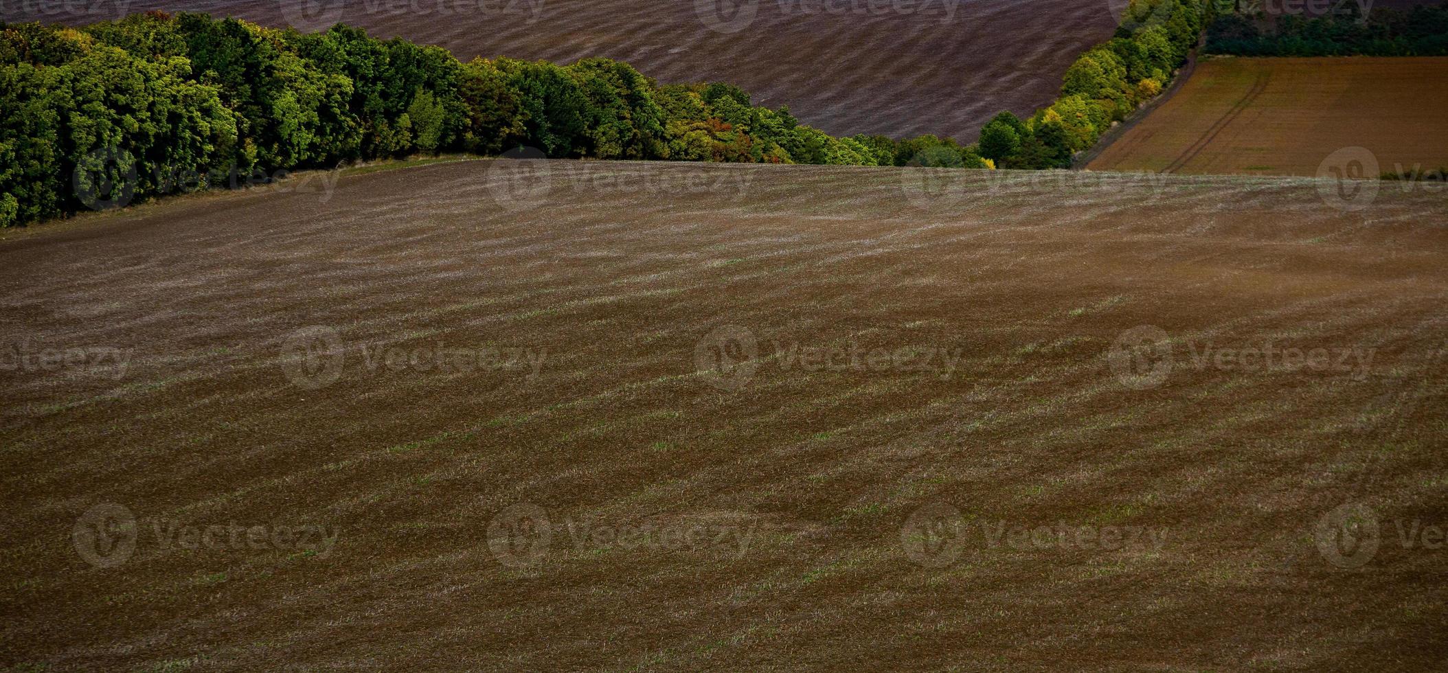 Image of a landscape with fertile soil from the Republic of Moldova