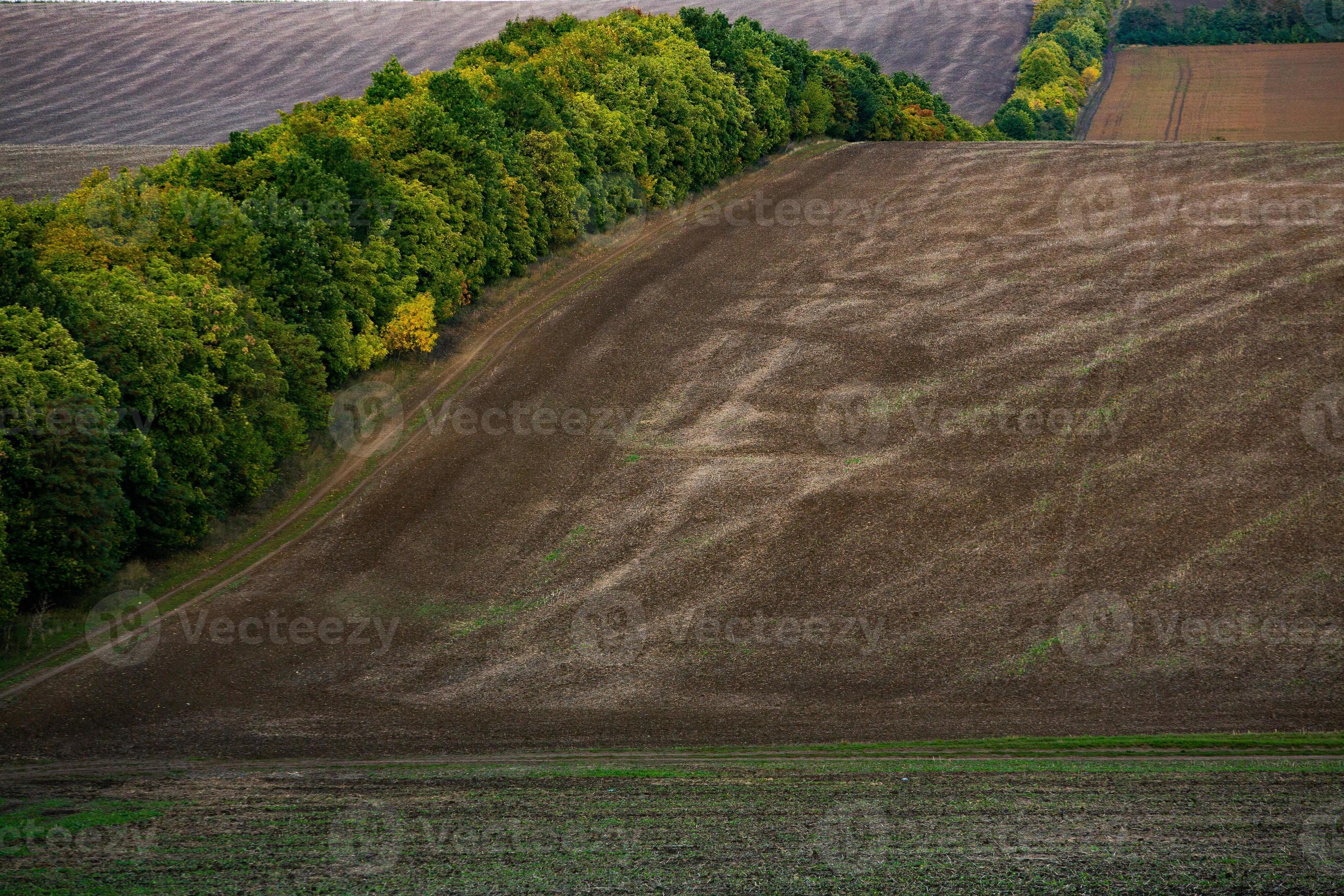 Image of a landscape with fertile soil from the Republic of Moldova