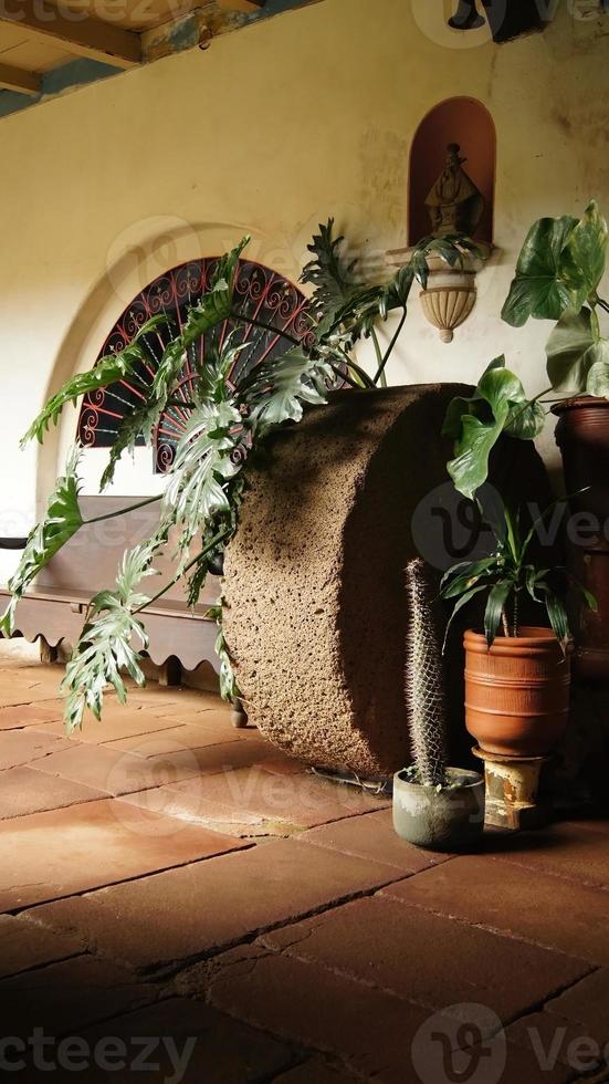 rueda de piedra entre macetas y plantas, en una casa antigua en méxico américa latina foto