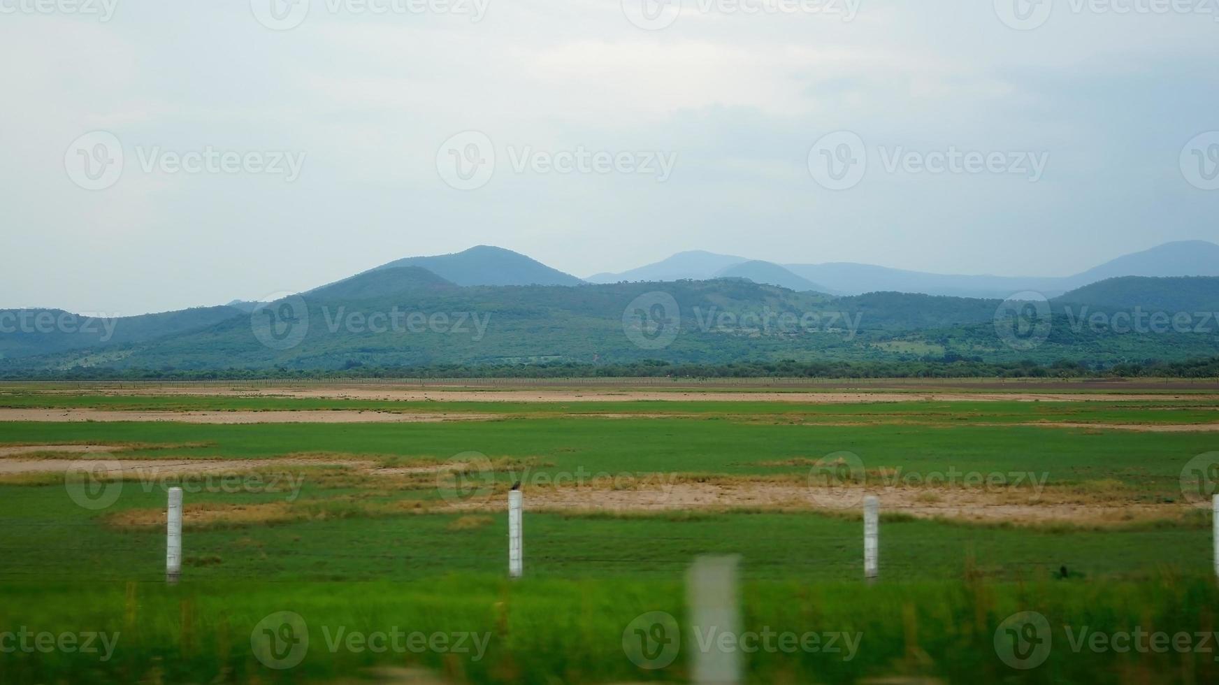 green grass field, with dry areas, a fence of posts with barbed wire limits the land, photo