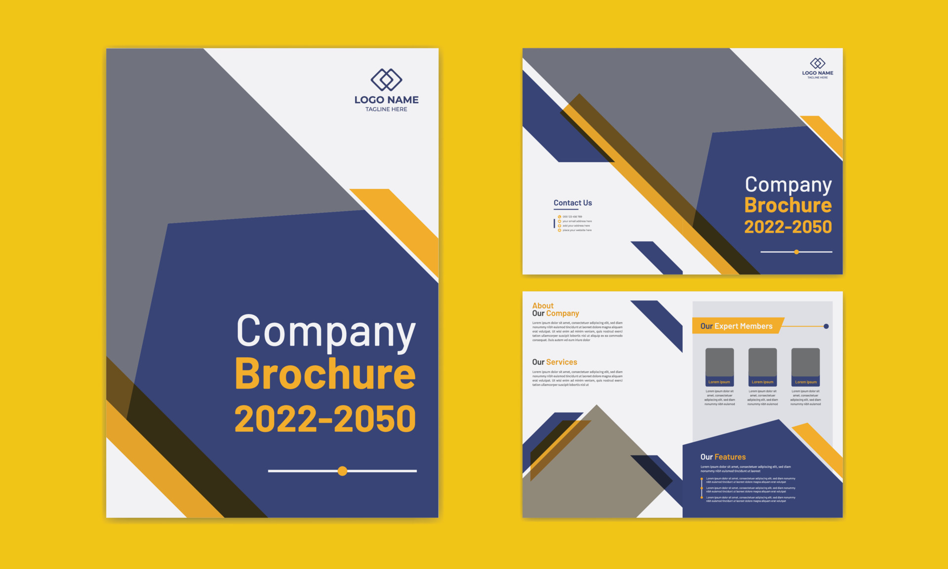 Business brochure template, company profile layout, catalog and annual