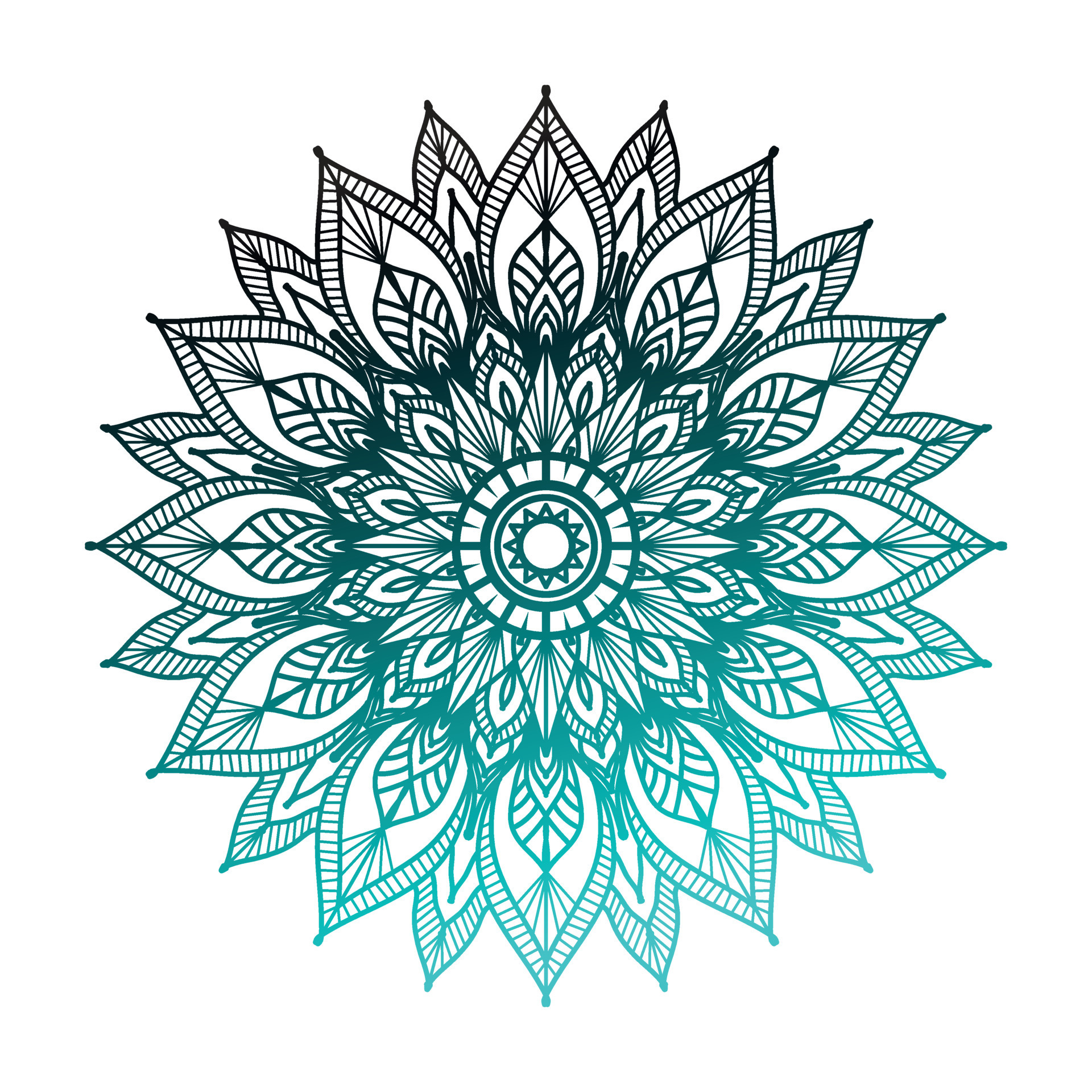 Mandala pattern coloring book wallpaper design Vector Image