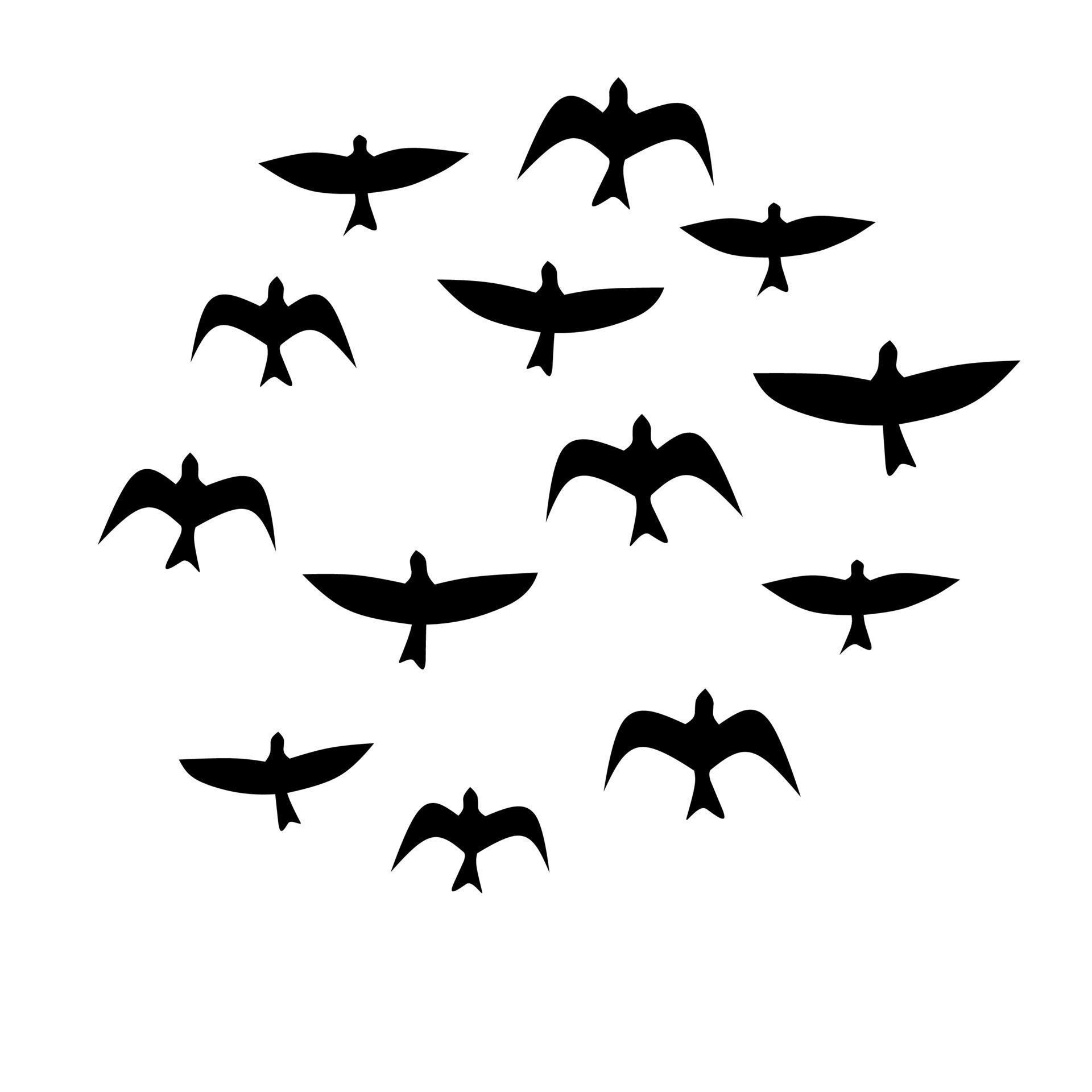 Vector group of birds flying together. Migratory bird colony. Isolated